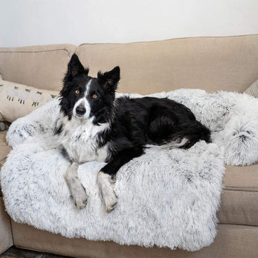 Dog Beds